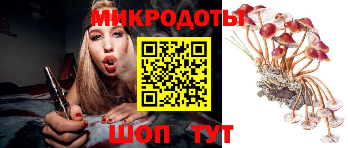 Псилоцибиновые грибы прущие грибы  Вход с VPN  Псилоцибиновые грибы Psilocybine cubensis  Октябрьский 